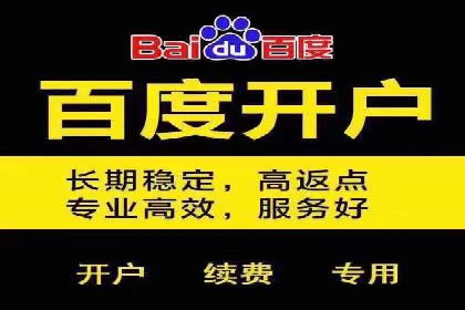 某知名品牌网络推广竞价全解析